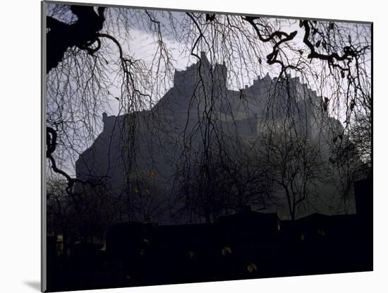 Edinburgh Castle Seen Through a Veil of Tree Branches-Dmitri Kessel-Mounted Photographic Print