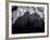 Edinburgh Castle Seen Through a Veil of Tree Branches-Dmitri Kessel-Framed Photographic Print