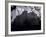 Edinburgh Castle Seen Through a Veil of Tree Branches-Dmitri Kessel-Framed Photographic Print