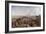 Edinburgh Old and New (Panel)-David Octavius Hill-Framed Giclee Print