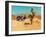 Edited Image of Classic Car in Amrican Desert-Salvatore Elia-Framed Photographic Print