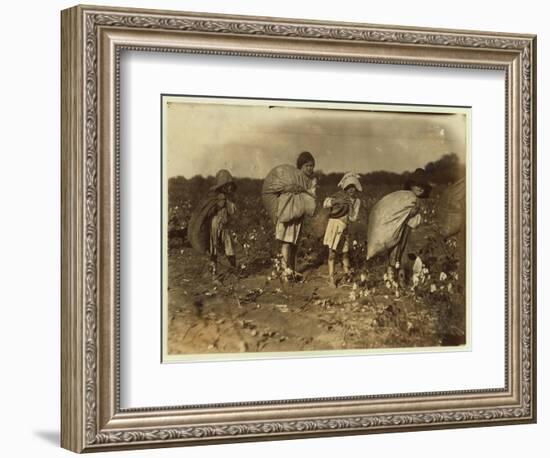 Edith 5 and Hughie 6 Pick Cotton All Day-Lewis Wickes Hine-Framed Photographic Print