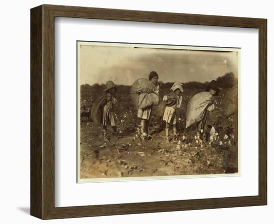 Edith 5 and Hughie 6 Pick Cotton All Day-Lewis Wickes Hine-Framed Photographic Print