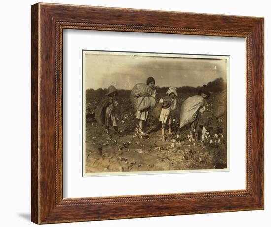 Edith 5 and Hughie 6 Pick Cotton All Day-Lewis Wickes Hine-Framed Photographic Print