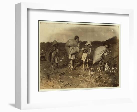 Edith 5 and Hughie 6 Pick Cotton All Day-Lewis Wickes Hine-Framed Photographic Print