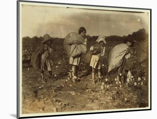 Edith 5 and Hughie 6 Pick Cotton All Day-Lewis Wickes Hine-Mounted Photographic Print