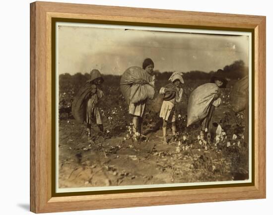 Edith 5 and Hughie 6 Pick Cotton All Day-Lewis Wickes Hine-Framed Premier Image Canvas