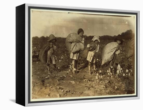 Edith 5 and Hughie 6 Pick Cotton All Day-Lewis Wickes Hine-Framed Premier Image Canvas