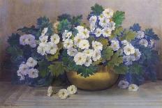 A Bowl of Primulas-Edith Barrow-Framed Giclee Print