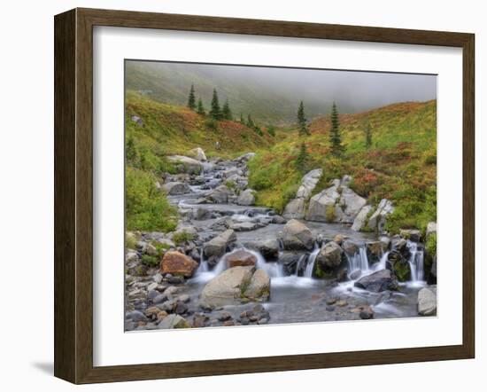 Edith Creek, Mt. Rainier National Park, Washington, Usa-Jamie & Judy Wild-Framed Photographic Print