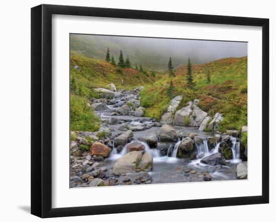 Edith Creek, Mt. Rainier National Park, Washington, Usa-Jamie & Judy Wild-Framed Photographic Print