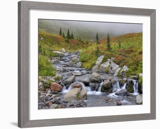 Edith Creek, Mt. Rainier National Park, Washington, Usa-Jamie & Judy Wild-Framed Photographic Print