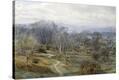 Stretched Canvas Print