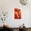 Edith Piaf-John Douglas-Giclee Print displayed on a wall