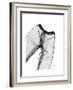 Editorial X-Ray Pants 2-Albert Koetsier-Framed Premium Giclee Print