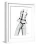 Editorial X-Ray-Albert Koetsier-Framed Premium Giclee Print