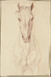 Deux études partielles d'une tête de cheval bridée-Edme Bouchardon-Giclee Print
