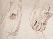 Encolure et tête de cheval bridée de face-Edme Bouchardon-Giclee Print