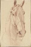 Tête de cheval bridée, tournée vers la gauche-Edme Bouchardon-Giclee Print