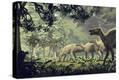 Stretched Canvas Print