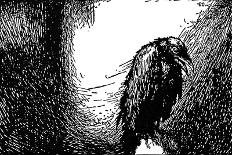 Poe: The Raven, 1845-Edmund Dulac-Giclee Print