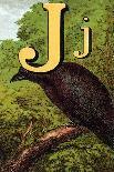 J For the Jackdaw, Perky And Bold-Edmund Evans-Art Print