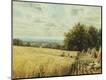 Giclee Print