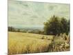 Giclee Print