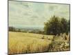 Giclee Print