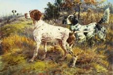 A German-Short Haired Pointer and Two Setters in a Landscape-Edmund Henry Osthaus-Framed Premier Image Canvas