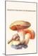 Premium Giclee Print