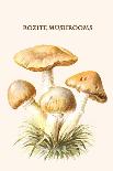 Russula Red-Capped Mushroooms-Edmund Michael-Mounted Art Print