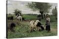 Stretched Canvas Print