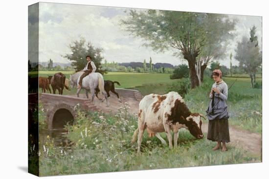 Stretched Canvas Print, , large