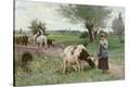 Stretched Canvas Print
