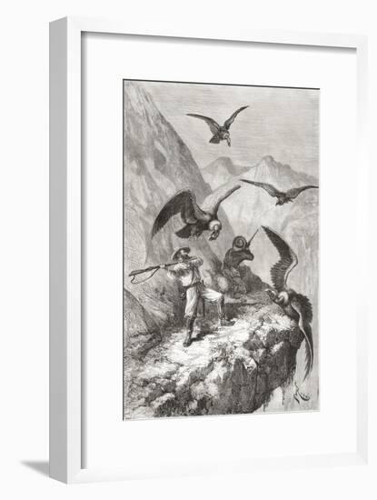 Édouard François André and Companion Being Attacked by Condors Near Calacali-null-Framed Giclee Print