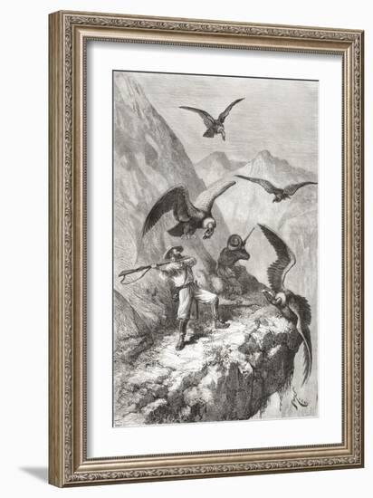 Édouard François André and Companion Being Attacked by Condors Near Calacali-null-Framed Giclee Print