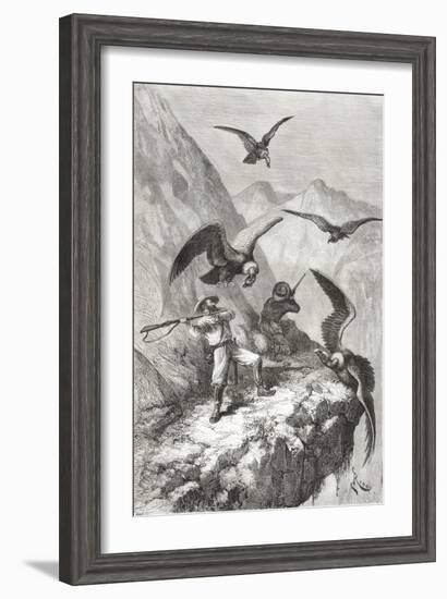 Édouard François André and Companion Being Attacked by Condors Near Calacali-null-Framed Giclee Print