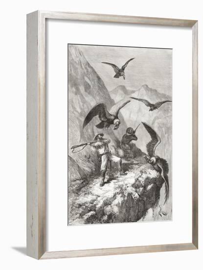 Édouard François André and Companion Being Attacked by Condors Near Calacali-null-Framed Giclee Print