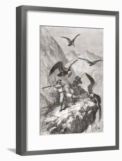 Édouard François André and Companion Being Attacked by Condors Near Calacali-null-Framed Giclee Print