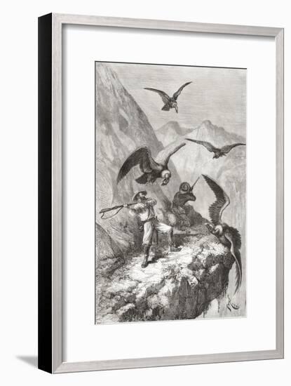 Édouard François André and Companion Being Attacked by Condors Near Calacali-null-Framed Giclee Print