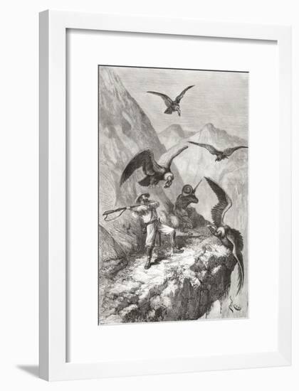 Édouard François André and Companion Being Attacked by Condors Near Calacali--Framed Giclee Print