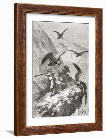 Édouard François André and Companion Being Attacked by Condors Near Calacali-null-Framed Giclee Print