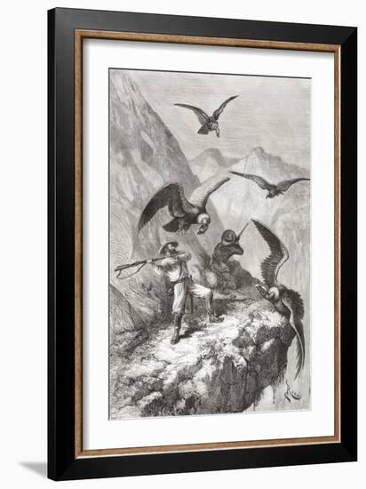 Édouard François André and Companion Being Attacked by Condors Near Calacali-null-Framed Giclee Print