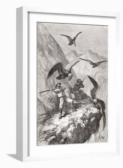 Édouard François André and Companion Being Attacked by Condors Near Calacali-null-Framed Giclee Print