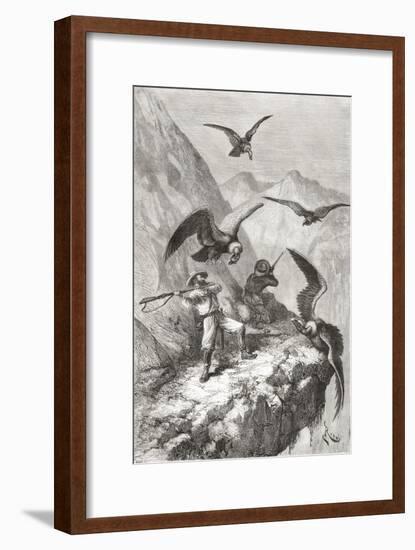 Édouard François André and Companion Being Attacked by Condors Near Calacali-null-Framed Giclee Print