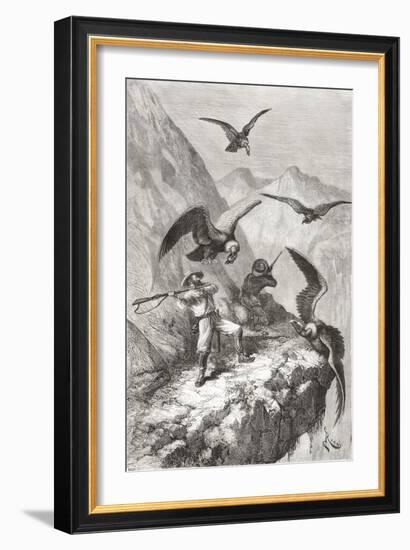 Édouard François André and Companion Being Attacked by Condors Near Calacali-null-Framed Giclee Print