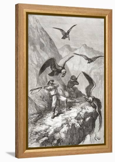 Édouard François André and Companion Being Attacked by Condors Near Calacali-null-Framed Premier Image Canvas