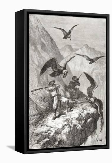 Édouard François André and Companion Being Attacked by Condors Near Calacali-null-Framed Premier Image Canvas