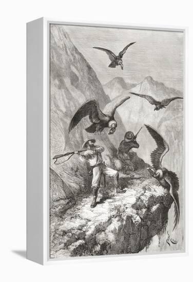 Édouard François André and Companion Being Attacked by Condors Near Calacali-null-Framed Premier Image Canvas